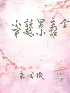 小说男主金峰的穿越小说