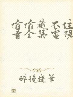 偷偷藏不住免费看全集电视剧