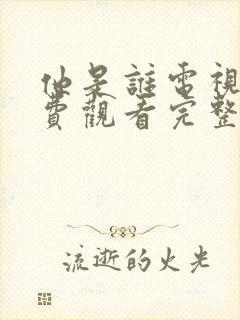 他是谁电视剧免费观看完整版24集高清