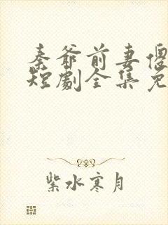 秦爷前妻傻又飒短剧全集免费观看