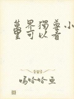 万界独尊小说那里可以看