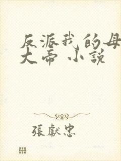 反派我的母亲是大帝 小说