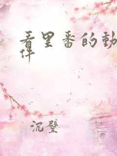 看里番的动漫软件