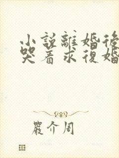 小说离婚后前夫哭着求复婚在线阅读