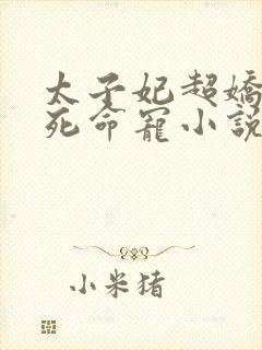 太子妃超娇气得死命宠小说