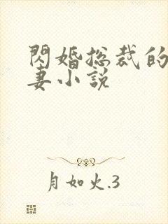 闪婚总裁的契约妻小说