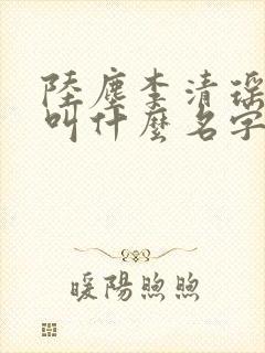 陆尘李清瑶小说叫什么名字