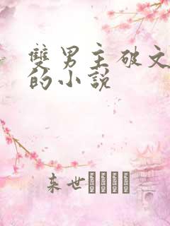 双男主破文囚禁的小说