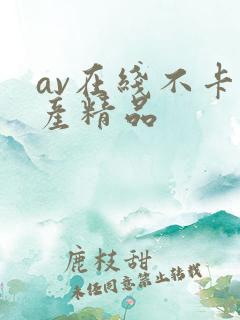 av在线不卡国产精品