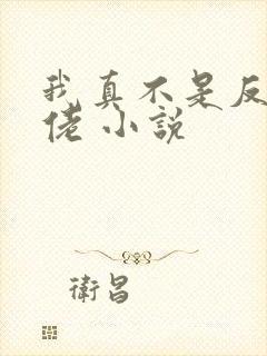 我真不是反派大佬 小说