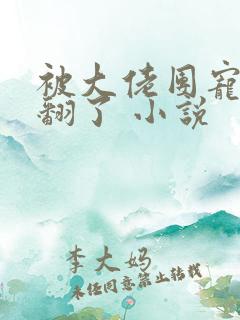 被大佬团宠后野翻了 小说