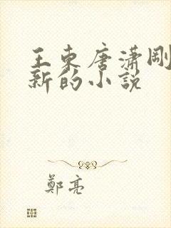 王东唐潇刚刚更新的小说