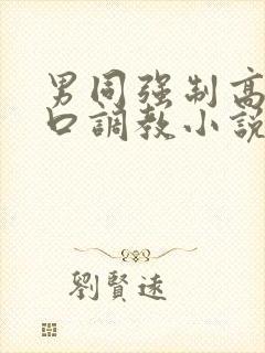 男同强制高潮重口调教小说