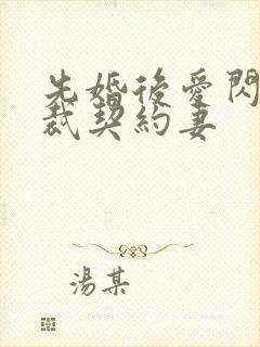 先婚后爱闪婚总裁契约妻