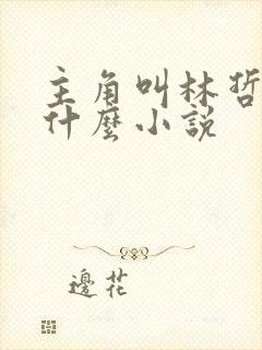 主角叫林哲的是什么小说