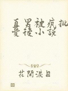 直男被疯批强制爱后小说