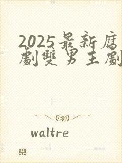 2025最新腐剧双男主剧
