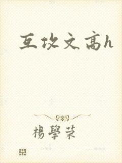 互攻文高h