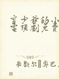 盲少爷的小女仆电视剧免费观看全集