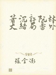 萧沉许阮林依然大结局番外