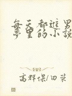 每天都进男神的梦里的小说