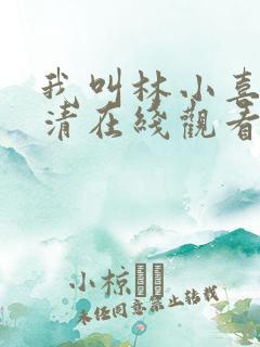 我叫林小喜的高清在线观看