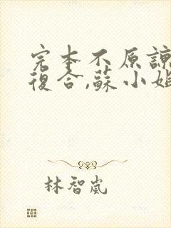 完本不原谅,不复合,苏小姐独美