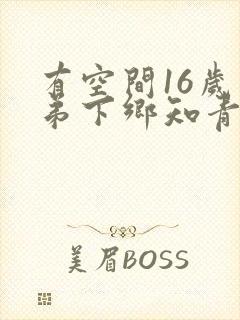 有空间16岁带弟下乡知青的小说