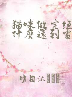 猫咪做完绝育为什么还到处乱尿