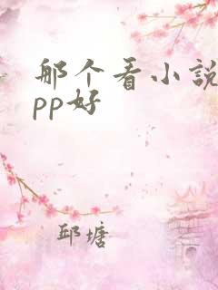 那个看小说的app好