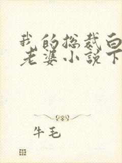 我的总裁白富美老婆小说下载