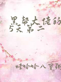 黑帮大佬的365天第二