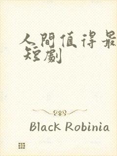 人间值得最清欢 短剧