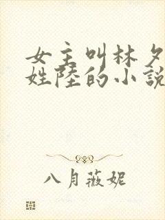 女主叫林夕男主姓陆的小说