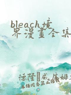 bleach境界漫画全集免费看