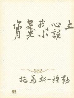你是我心上的白月光小说