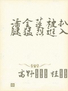 潘金莲被扒开双腿猛烈进入小说