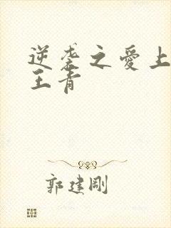 逆袭之爱上情敌王青