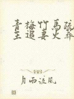 青梅竹马疏离男主追妻火葬场