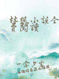 林枫小说全文免费阅读
