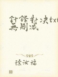 针锋对决txt无删减