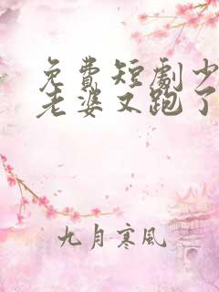 免费短剧少帅你老婆又跑了