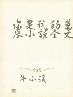 你是我的万千星辰小说全文阅读