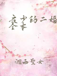 夜少的二婚新妻全本