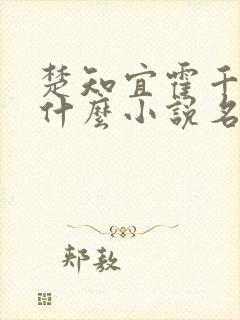 楚知宜霍千绝是什么小说名字