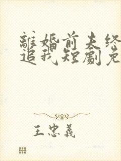 离婚前夫终是想追我短剧免费观看