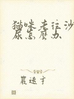 猫咪老往沙发上尿怎么办