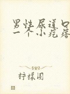 男性尿道口长了一个小疙瘩怎么回事