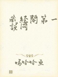 藏经阁第一版小说网