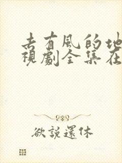 去有风的地方电视剧全集在线免费